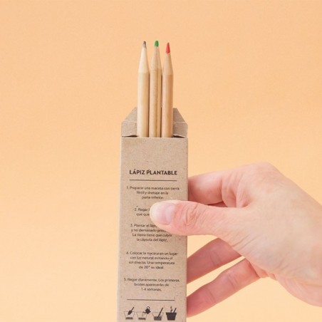 KIT ECO LÁPICES PLANTABLES