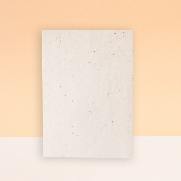 HOJAS SIN IMPRESIÓN