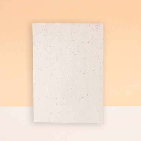 HOJAS SIN IMPRESIÓN