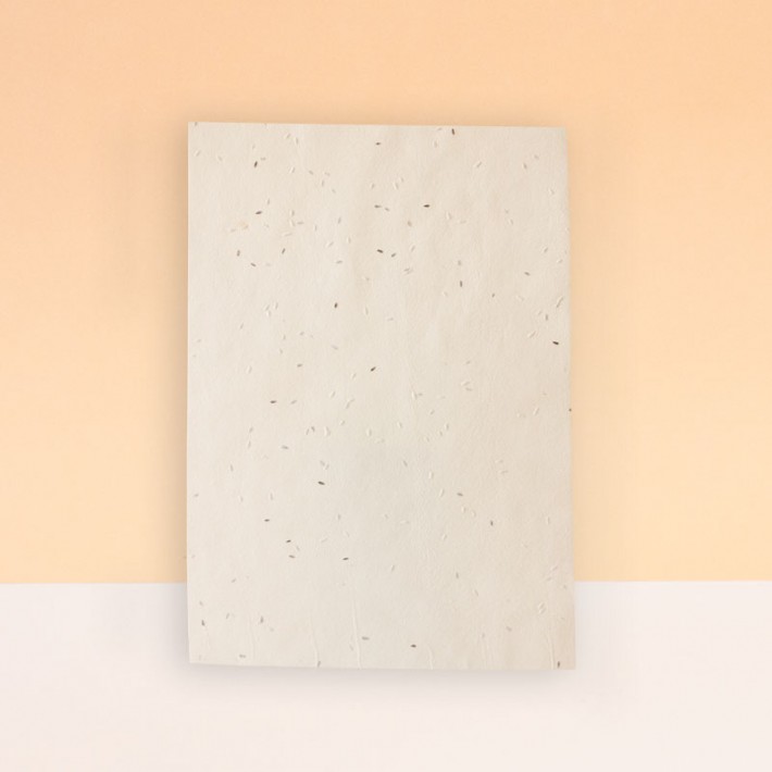 HOJAS SIN IMPRESIÓN