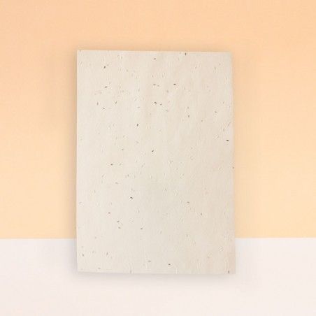 HOJAS SIN IMPRESIÓN