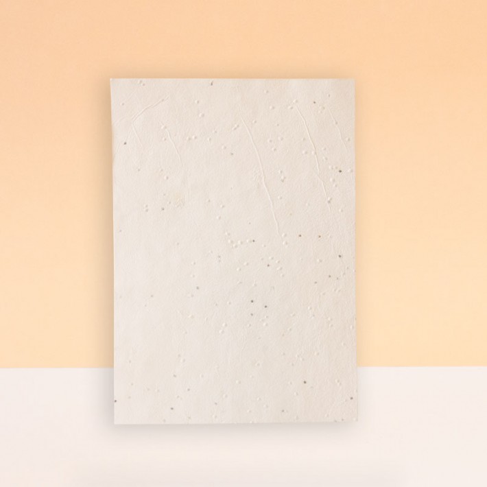 HOJAS SIN IMPRESIÓN