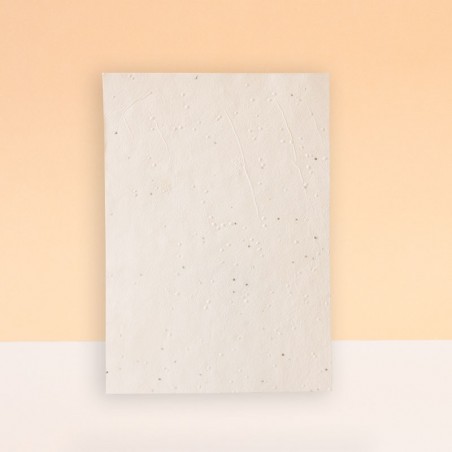 HOJAS SIN IMPRESIÓN