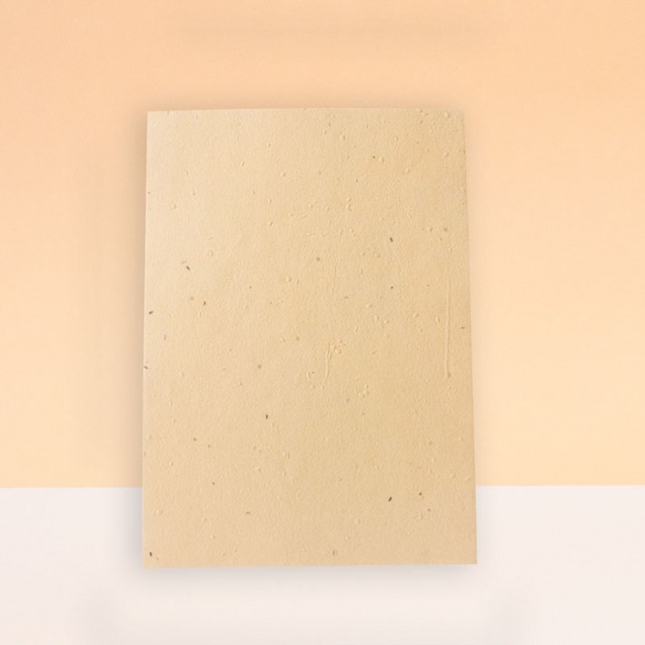 HOJAS SIN IMPRESIÓN