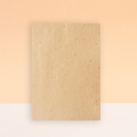 HOJAS SIN IMPRESIÓN