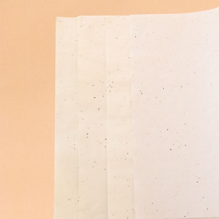 HOJAS SIN IMPRESIÓN