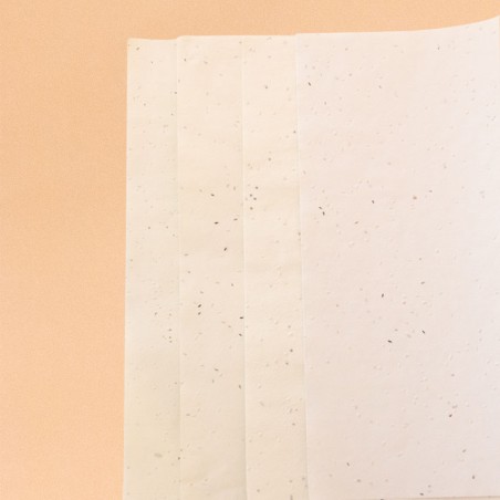 HOJAS SIN IMPRESIÓN